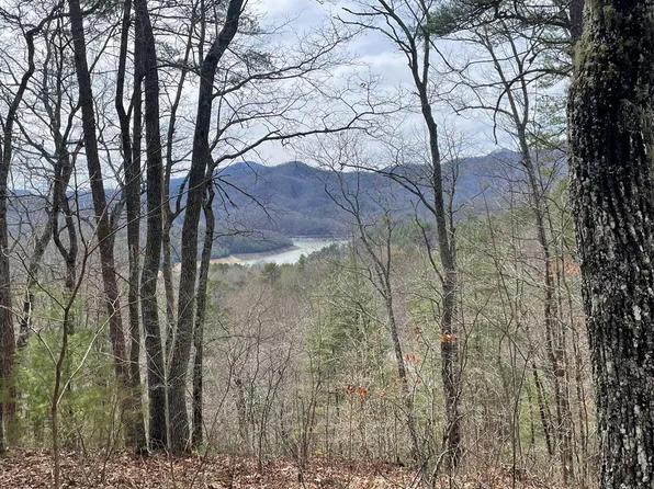 98-2 Wild Orchid Trl, Bryson City, NC 28713