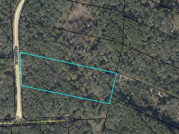 84 NE 290th Ave, Old Town, FL 32680