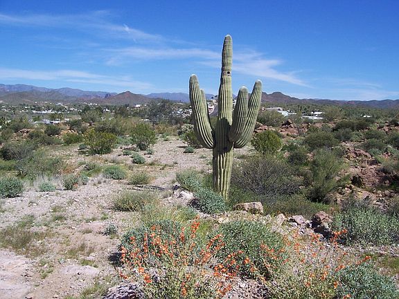 3rd image of 198 S Piedra Negra Dr