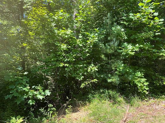 3rd image of 23 Tall Oak Way Lot Tr2