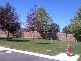 2nd image of 1366 Silk Tree Ct