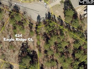 424 Eagle Ridge Ct, Gaston, SC 29053