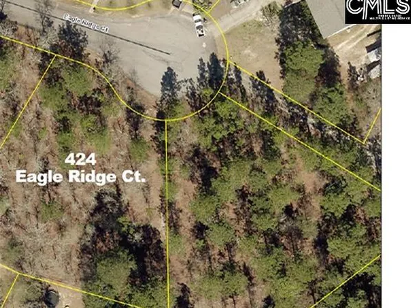 424 Eagle Ridge Ct, Gaston, SC 29053