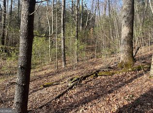 0 Winter Ct, Dillard, GA 30537