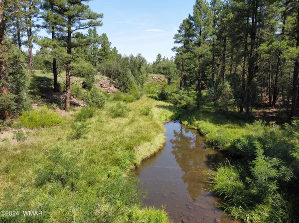 Alisa Ln, Lakeside, AZ 85929