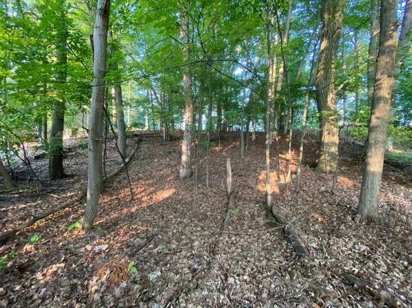 LOT 222 Lancelot Ct, Gladwin, MI 48624