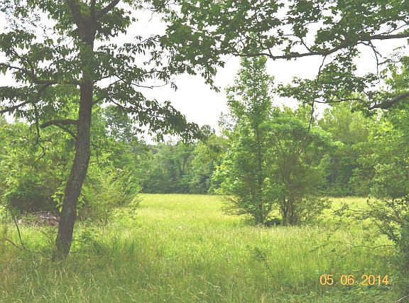 5th image of 3450 Highway 79n