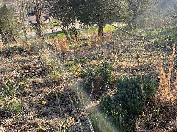 4th image of 6384 Camp Creek Rd