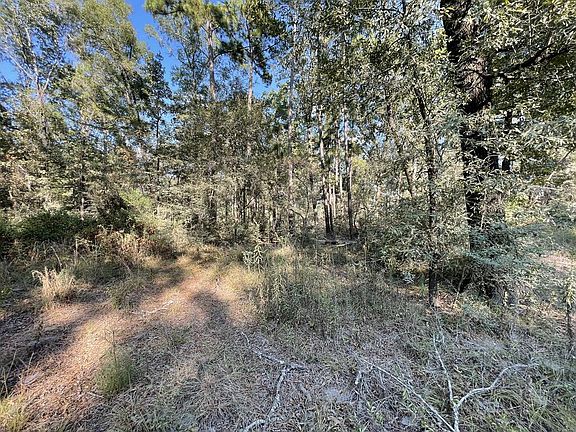 3rd image of 136 Forest Dr