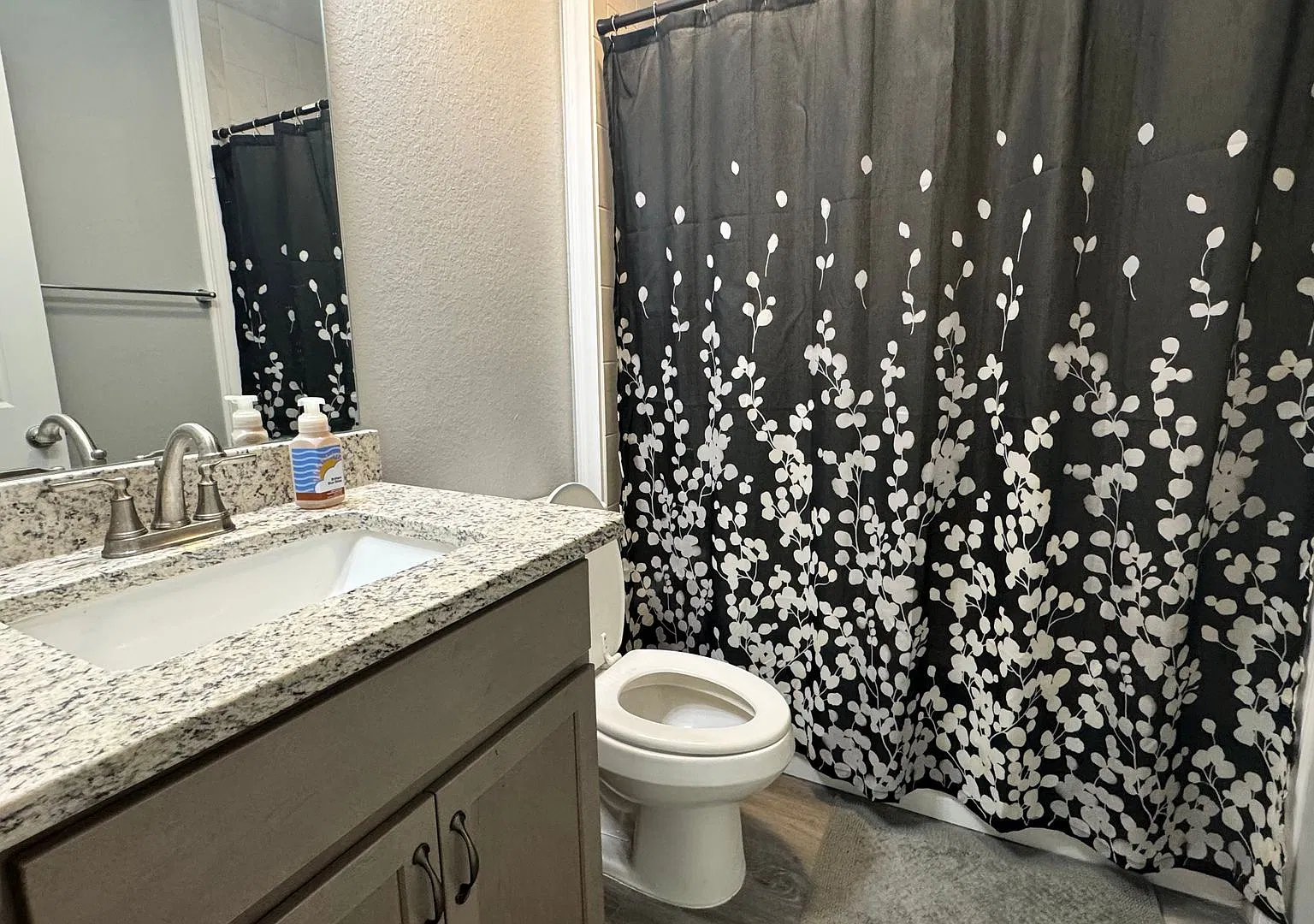 3-bedroom, 2-bath home in Ocklawaha, FL — Photo 4