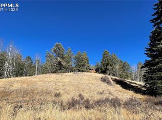 3090 N Mountain Estates Rd, Florissant, CO 80816