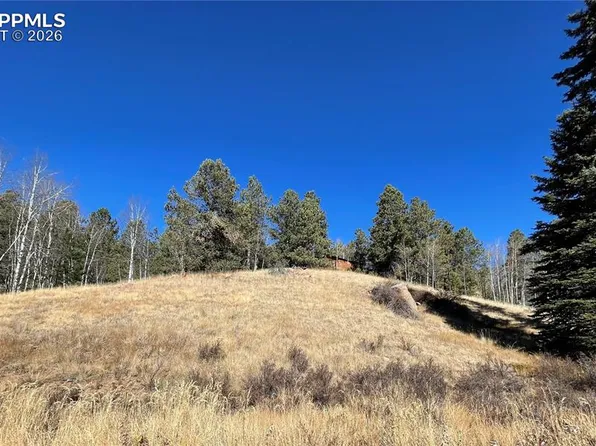 3090 N Mountain Estates Rd, Florissant, CO 80816