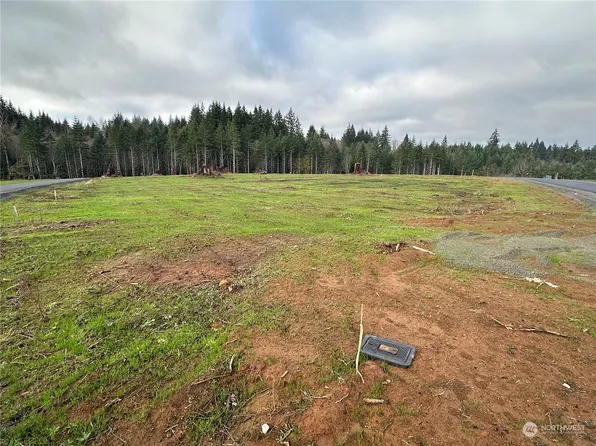 214 Ash Mountain Drive, Castle Rock, WA 98611