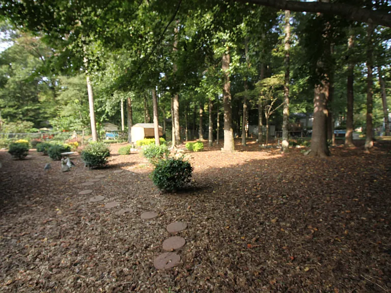 8200 Mahogany Dr — Photo 5
