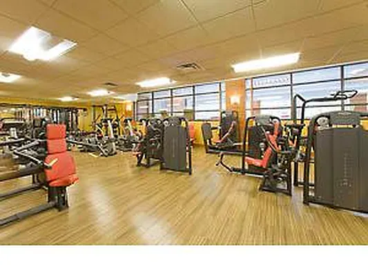 Rented by Bond New York | media 14