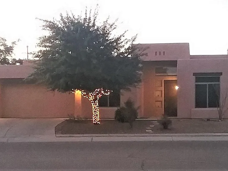 1323 N Golden Palomino Pl — Photo 19