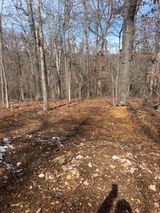 Seaham Ln #19, Bella Vista, AR, 72714