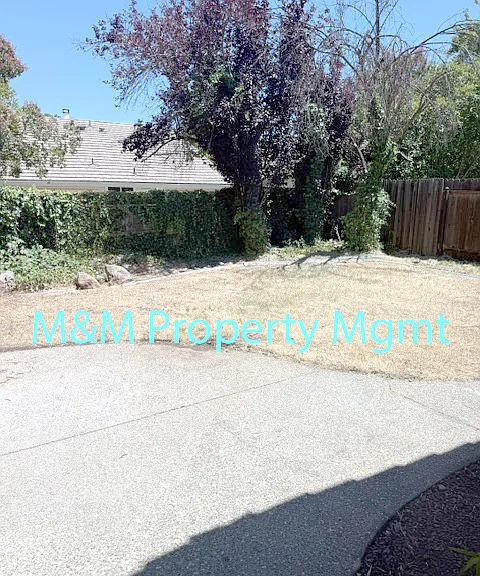 213 Rochelle Ct — Photo 8