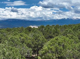 19 Ponderosa Dr, Ridgway, CO 81432