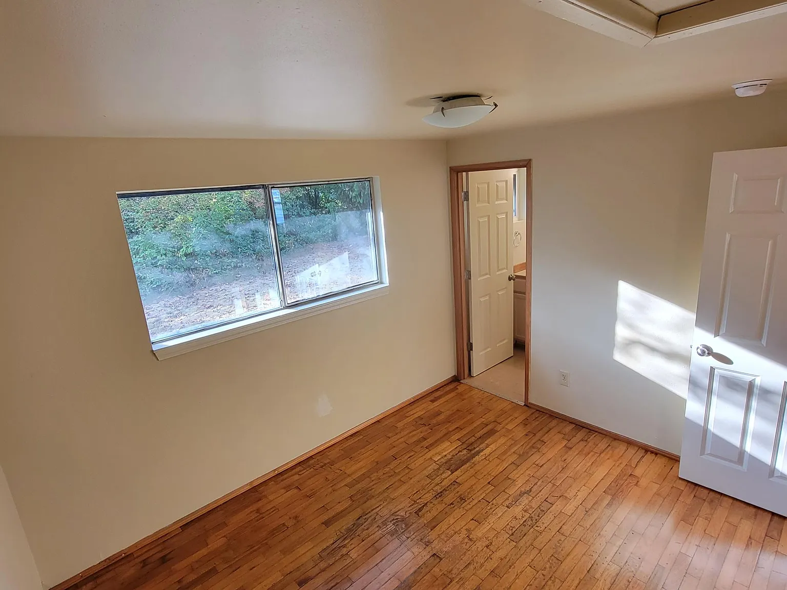 3 bed, 1.5 bath, 1000 sqft, $2,600 — Photo 4