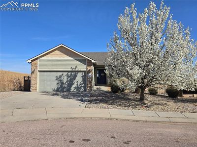 7502 Willow Pines Pl, Fountain, CO, 80817