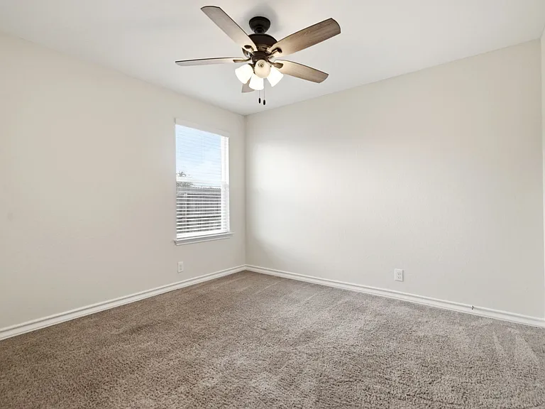 15441 Cooks Petrel — Photo 17