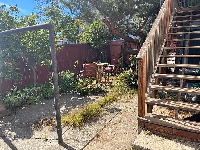 shared backyard