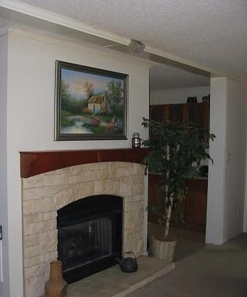 Fireplace with Gas Logs