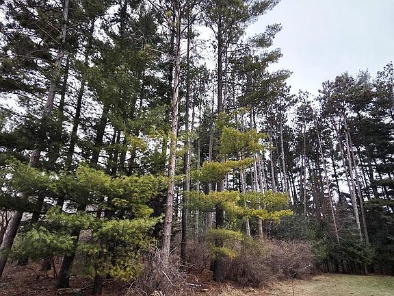 5th image of 913 Saddle Ridge #Parcel 3