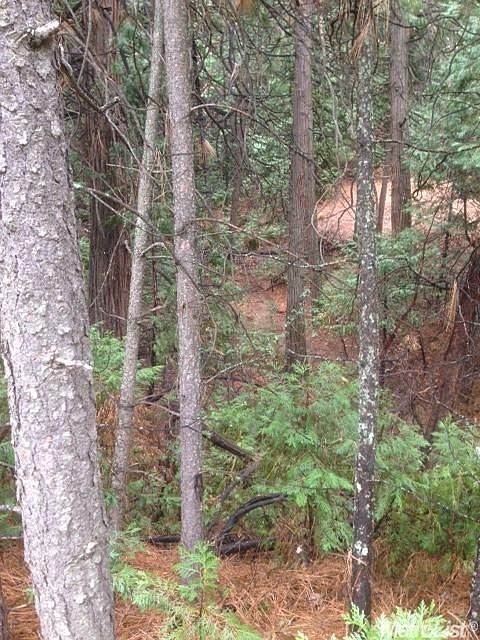 2nd image of 25462 Meadow Dr