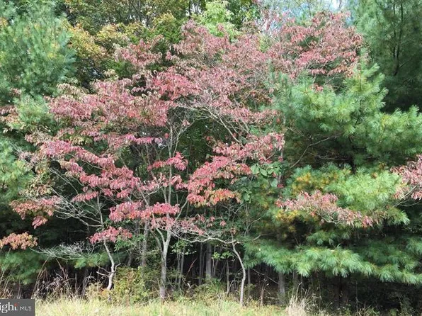 Brice Hollow Rd, Cumberland, MD 21502