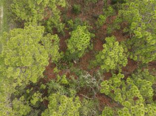 16186 S Medrick Rd, Brooksville, FL 34614