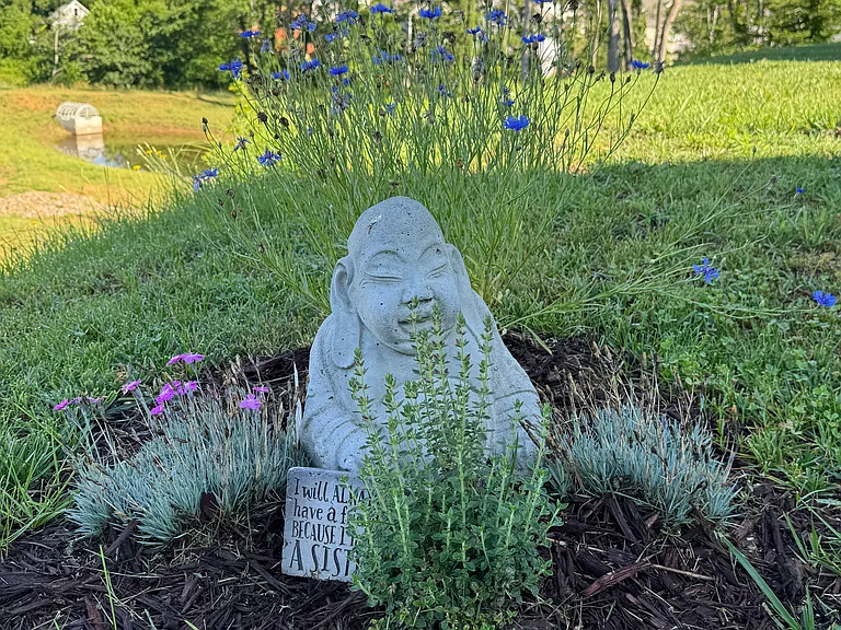 Garden and views