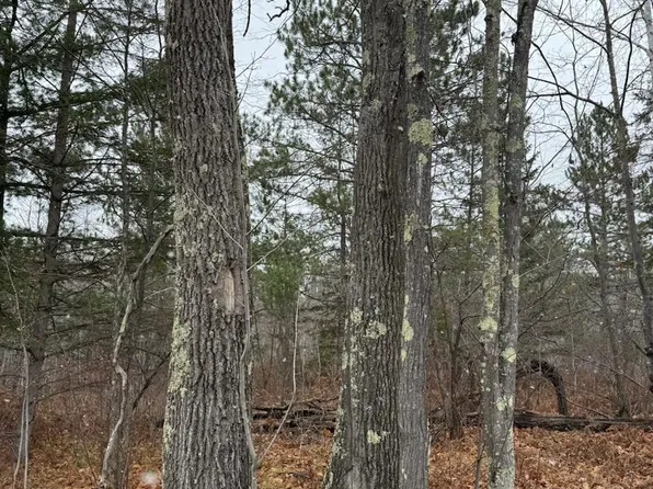 68xx Hollander Rd, Iron River, WI 54847