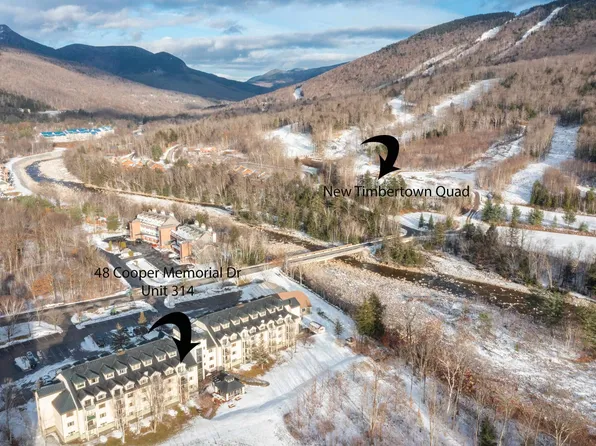 48 Cooper Memorial Drive #314, Lincoln, NH 03251