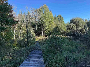 Property photo 51