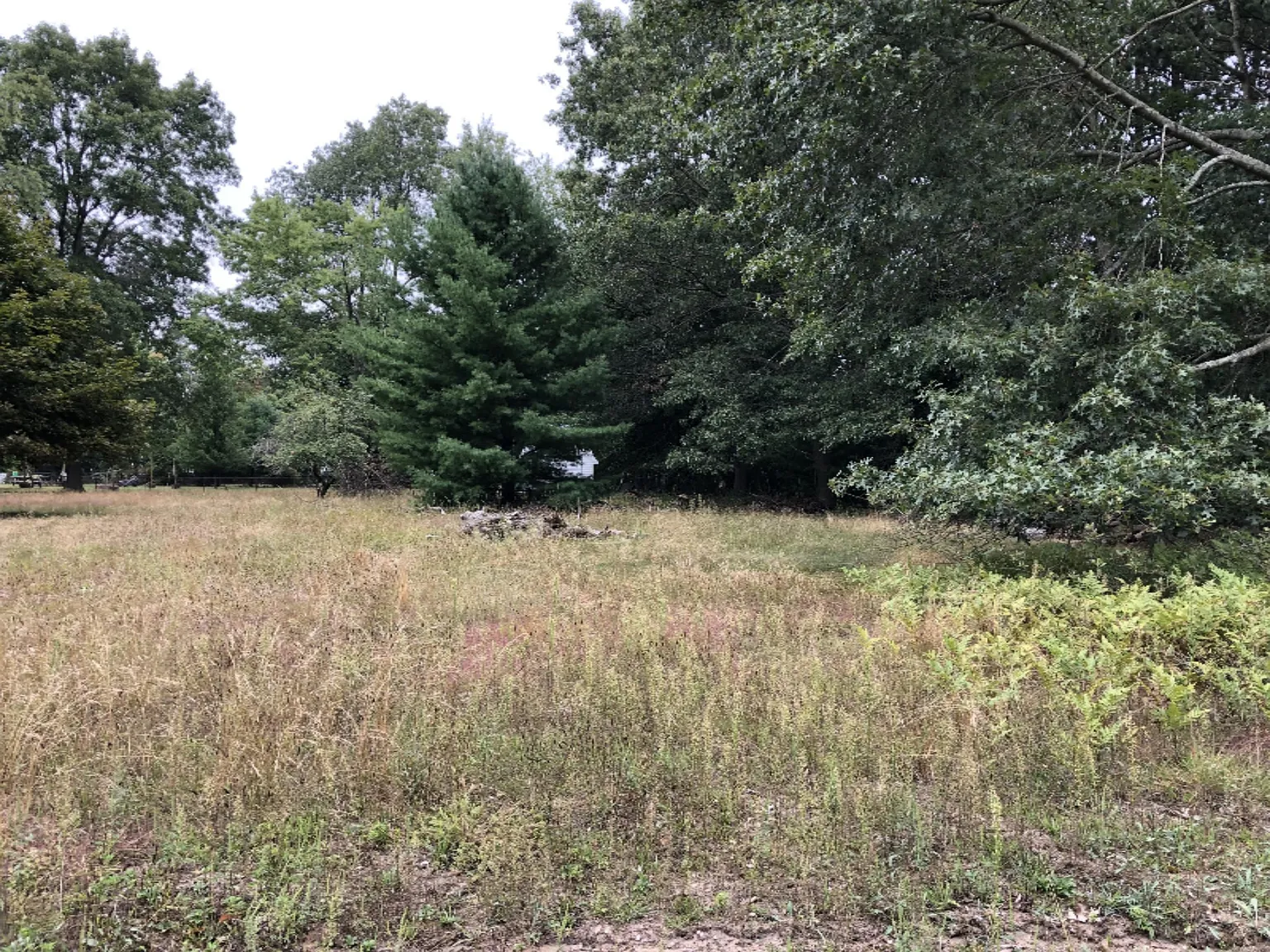 1568 Getz Ave photo 1