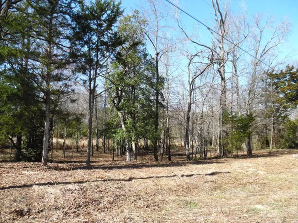 1.2 Maple Dr, Murchison, TX 75778