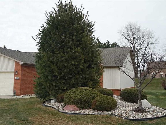 4th image of 46810 Scotch Pine Ln