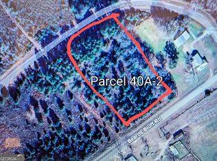 LOT 2 Beards Bluff Rd, Odum, GA 31555