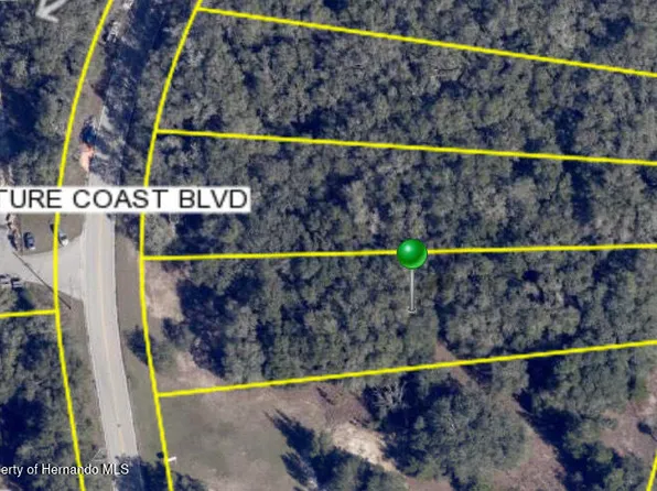 0 Nature Coast Blvd, Brooksville, FL 34602