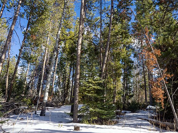 2nd image of 33548 Seneca Trail