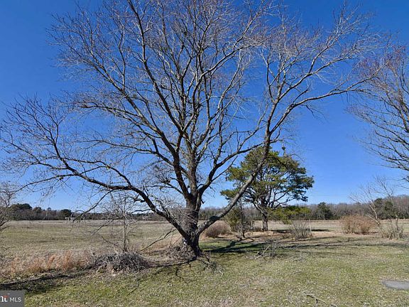 4th image of 36136 Layton Ln
