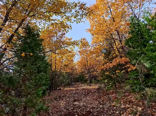 Seclusion Dr, Montgomery Creek, CA 96065