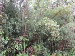 Ka Nani Rd LOT 4, Volcano, HI 96785