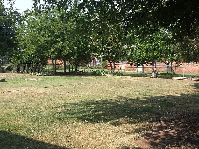 Backyard