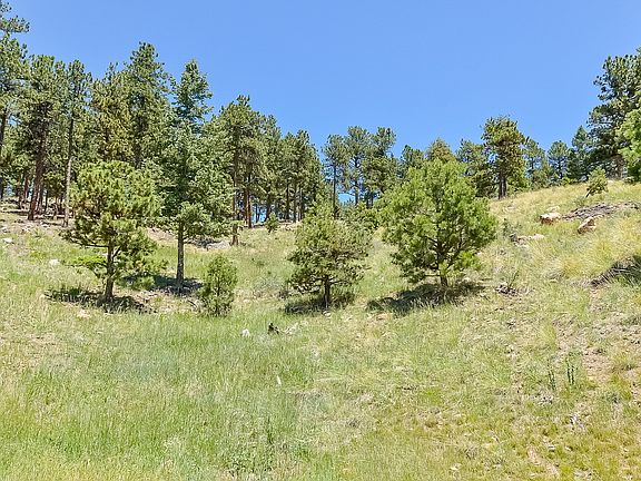4th image of 30655 Snowbird Ln