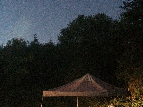 Twilight in the backyard