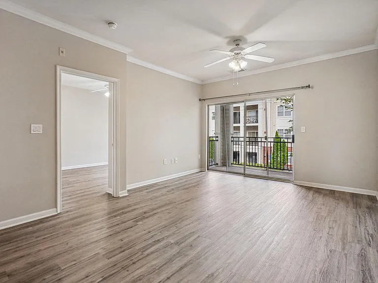 Living Room and Bedroom Entrance