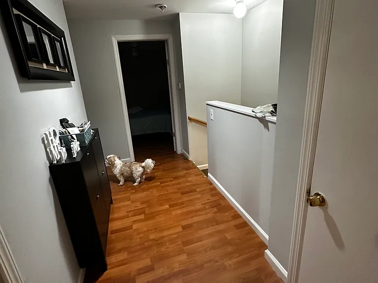 283 Central Ave #2 — Photo 17